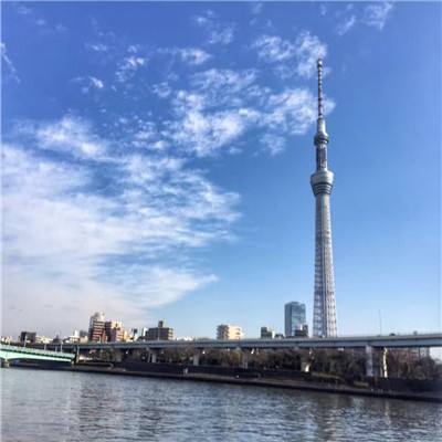 “在上海 品世界”打造城市新名片